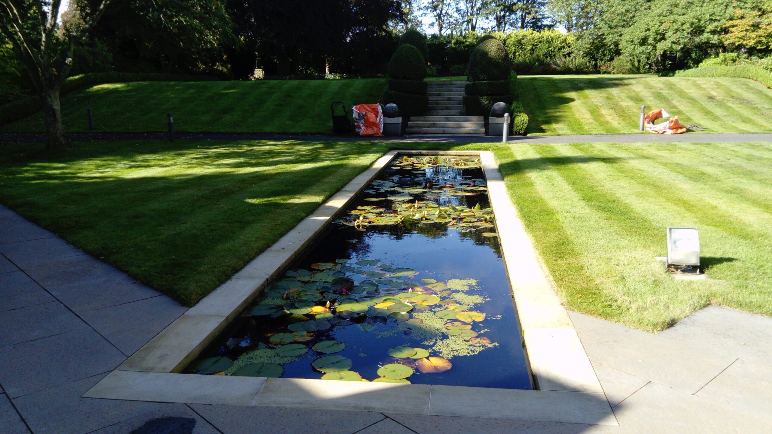 Reflection Pond with manicured Lawn and Topery Hedge